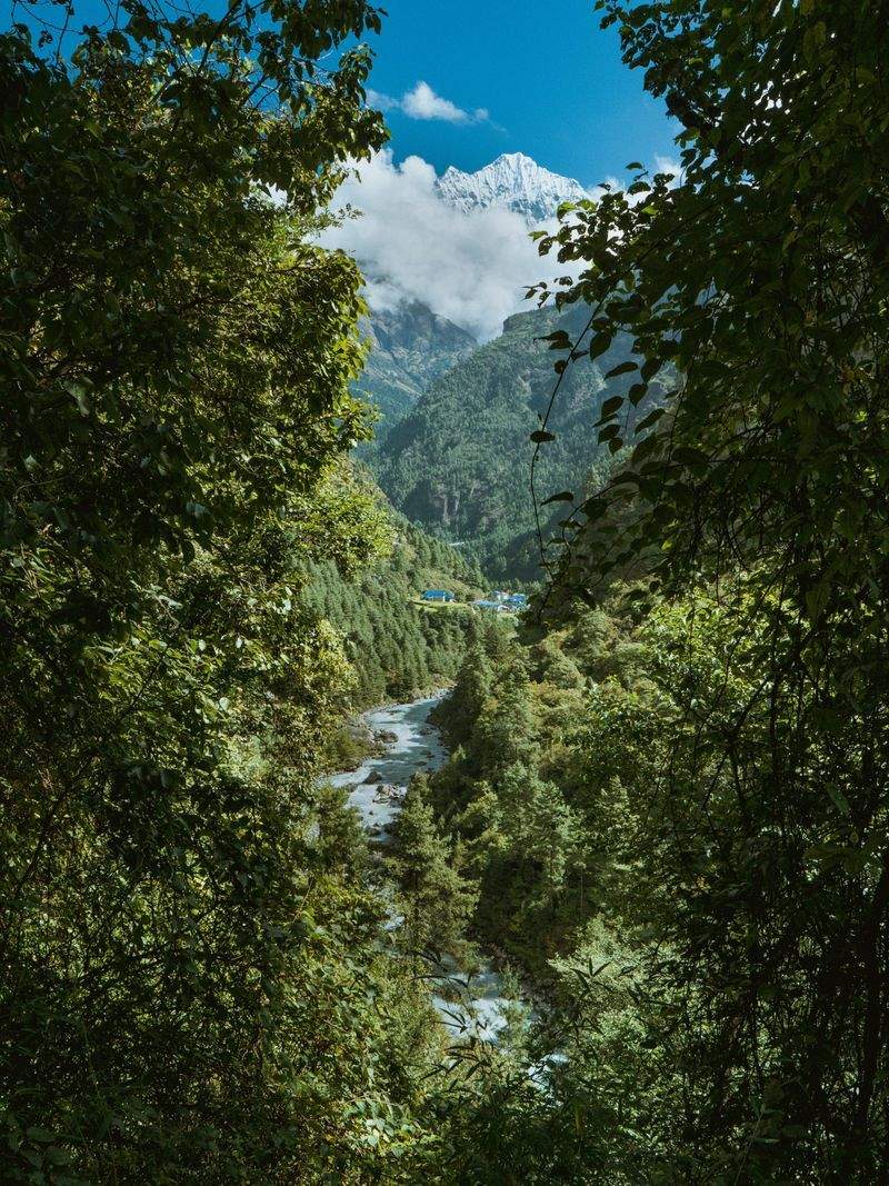 Luontotaito Oy - Image 12
